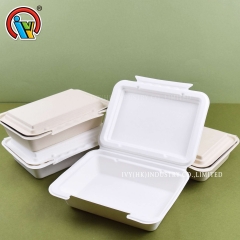 wholesale biodegradable lunch box disposable